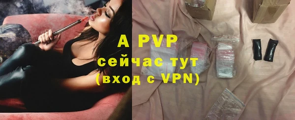 стаф Верхний Тагил