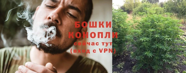 стаф Верхний Тагил