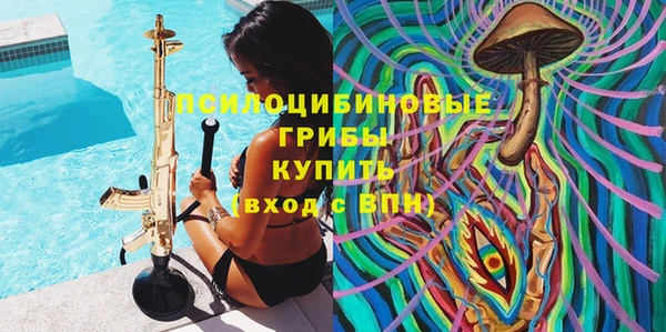 стаф Верхний Тагил