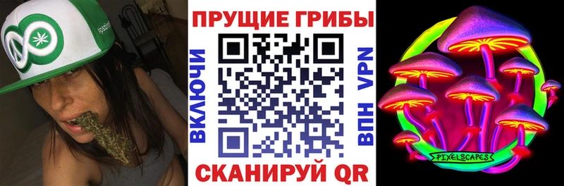 Купить  Юрюзань  Псилоцибиновые грибы GOLDEN TEACHER 